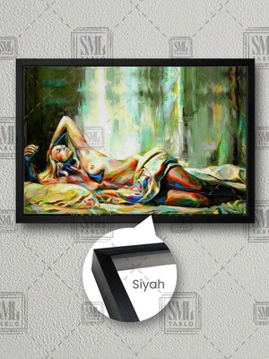 Renkli Nü Uzanan Kadın Sexy Çıplak Kadın Modern Sanat Çerçeveli Yatay Kanvas Tablo