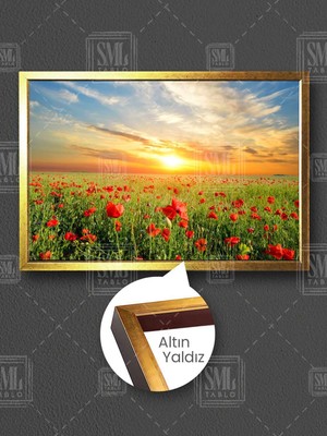 Kırmızı Gelincik Çiçeği Tarlası Gün Batımı Doğa Manzarası Çerçeveli Yatay Kanvas Tablo