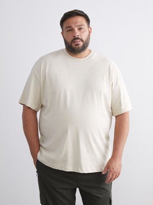 Lc Waikiki Yeni Sezon Büyük Beden Bisiklet Yaka Penye Erkek Tişört