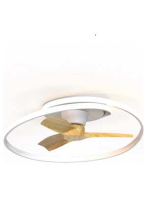 Taflan Kaşkar Ayd-30 Uzaktan Kumandalı Lambalı Tavan Vantilatörü