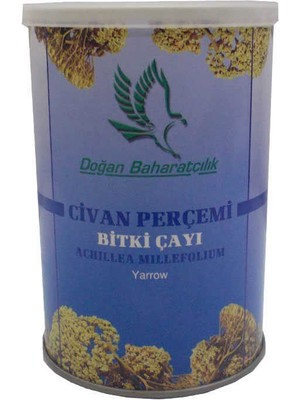 Doğal Civanperçemi Otu 100 gr Teneke Kutu