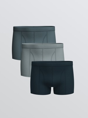 Lc Waikiki Yeni Sezon Standart Kalıp Pamuklu Esnek Erkek Boxer 3'lü