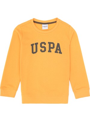 U.S. Polo Assn. Erkek Çocuk Mango Bisiklet Yaka Basic Sweatshirt 50313830-VR244