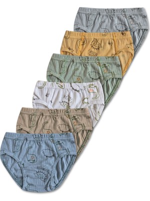 Panfilia %100 Pamuk Erkek Çocuk Slip Külot Iç Çamaşır 6lı Set