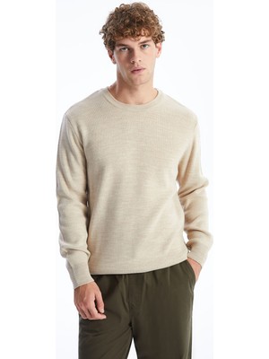 Lc Waikiki Yeni Sezon Bisiklet Yaka Erkek Triko Kazak