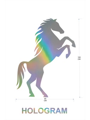 Şaha Kalkmış At Sticker Araç Araba Duvar 100X60 cm