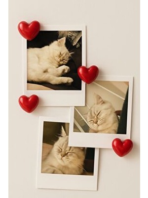 Home 5'li Kalpli Magnet Seti – Güçlü Mıknatıs ile Fotoğraf ve Not Tutucu Buzdolabı Süsü Dekoratif