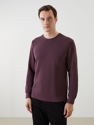 Lc Waikiki Yeni Sezon Bisiklet Yaka Uzun Kollu Erkek Sweatshirt