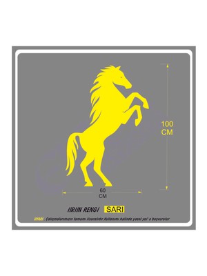 Şaha Kalkmış At Sticker Araç Araba Duvar 100X60 cm