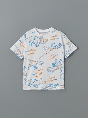 Lc Waikiki Yeni Sezon Bisiklet Yaka Baskılı Erkek Çocuk Tişört