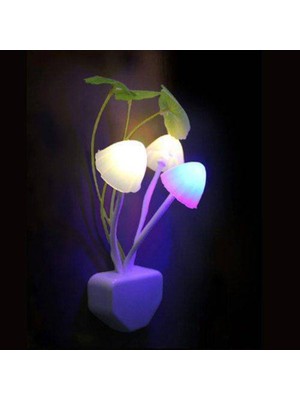 Renkli Çiçek Desenli Rgb Sensörlü Gece Lambası, Şık ve Kullanışlı Dekoratif Aydınlatma