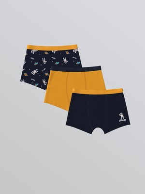 Lc Waikiki Yeni Sezon Baskılı Erkek Çocuk Boxer 3'lü