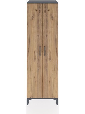 Hyperion Dolap 3 Raflı 2 Kapaklı Tek Askılı 60X44X195 Antrasit-Çam