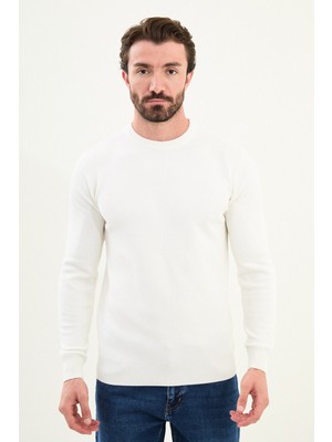 Desenli Slim Fit Bisiklet Yaka Erkek Kazak