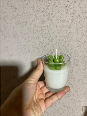 Cam Kaktüs Skulent  Çiçek Tasarımlı Gerçekçi Özel Hediyelik Mum