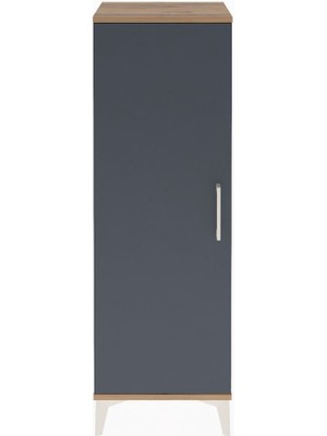 Arges Dolap 3 Raflı Tek Kapaklı 44X30X134 Çam-Antrasit