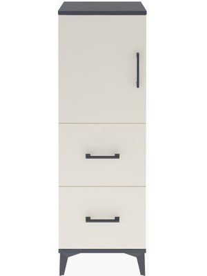 Arges Dolap 2 Raflı 2 Çekmeceli Tek Kapaklı 44X30X134 Antrasit-Aytaşı