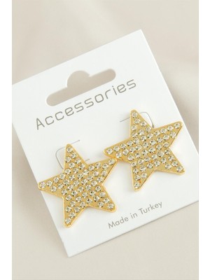 Yıldız Yeni Sezon Taşlı Küpe