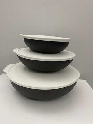 Tupperware Berrak Bambu Set