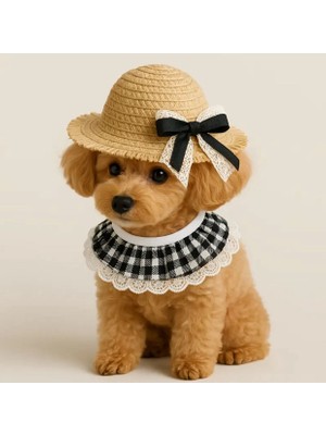 Kedi/köpek Hasır Şapka ve Dantelli Önlük Seti (2 Parça) Evcil Hayvan Günlük Kıyafet