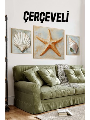 🌟 Deniz Yıldızı ve Kabuğu Temalı 3’lü Dekoratif Tablo Seti (23X23 cm & 42X42 Cm) 4242115 42 cm
