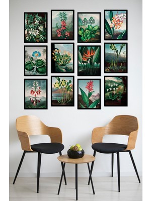 Dekorize Mdf Tablo Seti 12 Parça - Salon Oturma Odası Için Duvar Dekoru Çerçeve Görünümlü Onk 1034 30 x 40