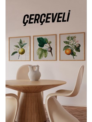 🟢 Bitki ve Meyve Illüstrasyonlu 3’lü Tablo Seti - Şık Ahşap Çerçeve ile KR4064 23 x 23