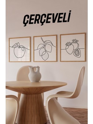 🏷️ 🍎 Meyve Temalı 3’lü Çizgisel Tablo Seti | Tek Çizim Stil | Uv Baskı – Mdf –ahşap Çerçeve KR4049 23 x 23