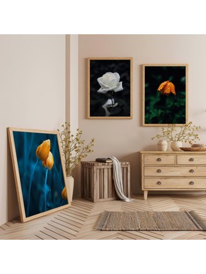 Ahşap Çerçeveli Çiçeklerin Zarafeti Üçlü Ahşap Tablo Seti