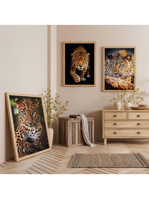 Ahşap Çerçeveli Leopar Portreleri Üçlü Ahşap Tablo Seti