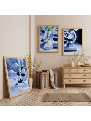 Ahşap Çerçeveli Biyoloji Üçlü Ahşap Tablo Seti