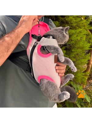 Kedi Köpek Ana Kucağı