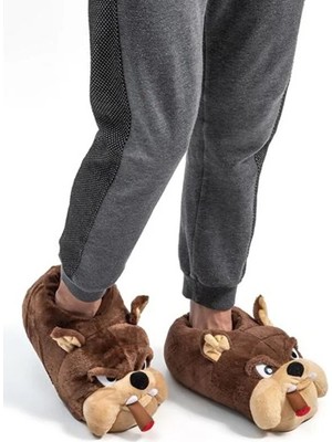 Twigy Bulldog Köpekli Ev Botu Panduf