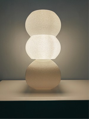 Beyaz 3D Baskı Modern Zarif Dekoratif Abajur Masa ve Gece Lambası