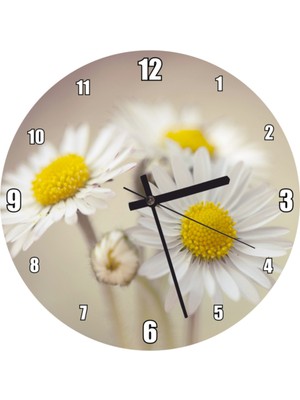 Beyaz Papatya Yakın Çekim Duvar Saati 30X30 cm