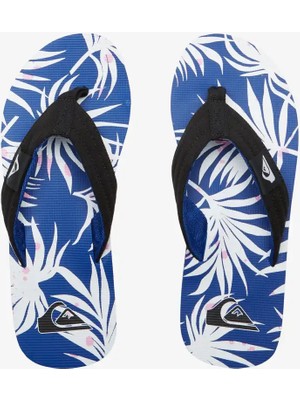 Quiksilver Molokai Layback Iı Unisex Terlik AQYL101339-XKBW Black/blue/white