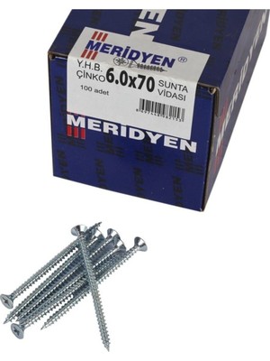 Meridyen Sunta Vidası 6 x 70 mm 100 Adet Vida
