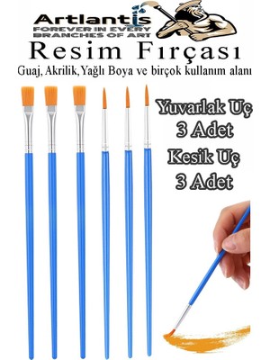 Resim Fırçası Kesik ve Yuvarlak Uçlu 6 Adet Sentetik Fırça Ekonomik Suluboya Akrilik Boya Guaj Boya Yağlı Boya Resim