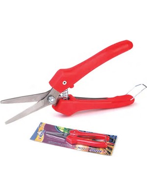 Üzüm Makası - Lisinya