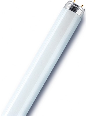 18W 60CM Grolux Floresan Cool White G13 Floresan Ampul 18 W Yok