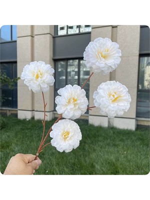 Yapay Çiçek Acık Şakayık 5 Li 80 cm Beyaz