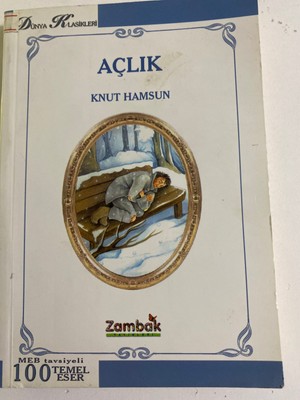 Açlık Roman