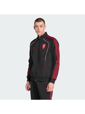 adidas Lfc Ubp Dktt Erkek Siyah Futbol Eşofman Üstü.-