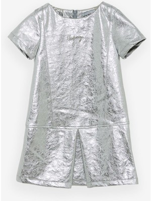 Bg Store Kız Çocuk Gümüş Elbise