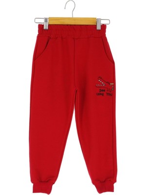 Dinozor See Later You Nakışlı 30/150 2 Ip Erkek Eşofman Alt - Kırmızı - 3 Yaş - ATA30729.0-KIRMIZI-3 Yaş Kırmızı