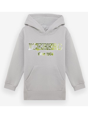 Bg Store Erkek Çocuk Gri Sweatshirt