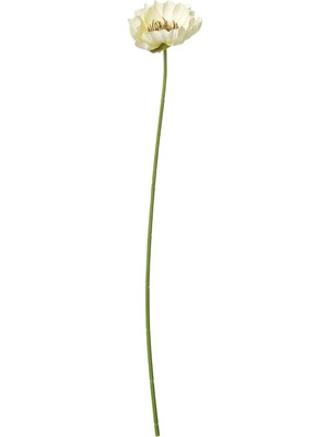 Yapay Çiçek, Beyaz, 51 Cm, Gelincik, Iç-Dış Mekan