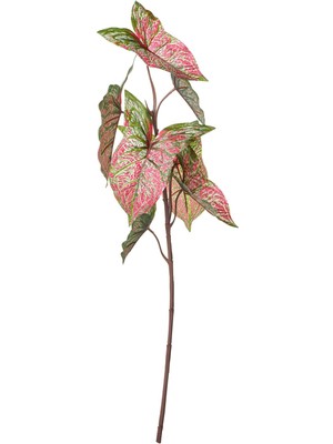 Yapay Çiçek, Yeşil-Pembe, 72 Cm, Kaladyum, Iç-Dış Mekan