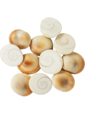 Doğal Yılancık Taşı, Şifa ve Enerji Kaynağı (1,5-2 Cm) Kahverengi