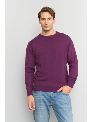 Çetinkaya Mentality K23 3175 Bisiklet Yaka Triko Basic Mürdüm